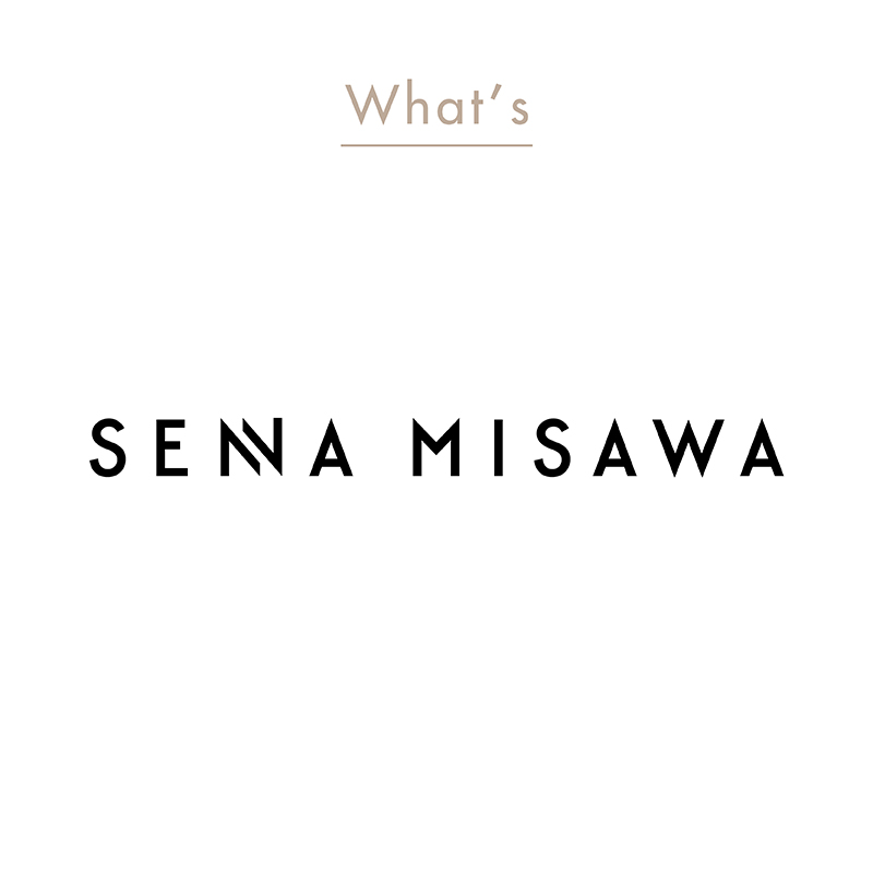 What is SENA MISAWA